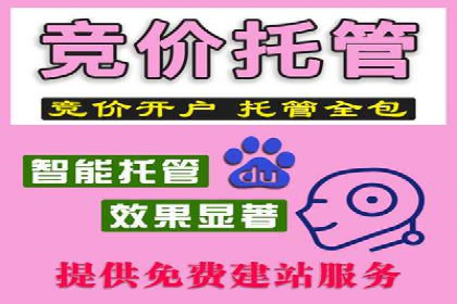 SEM代理服务：案例分享，效果显著